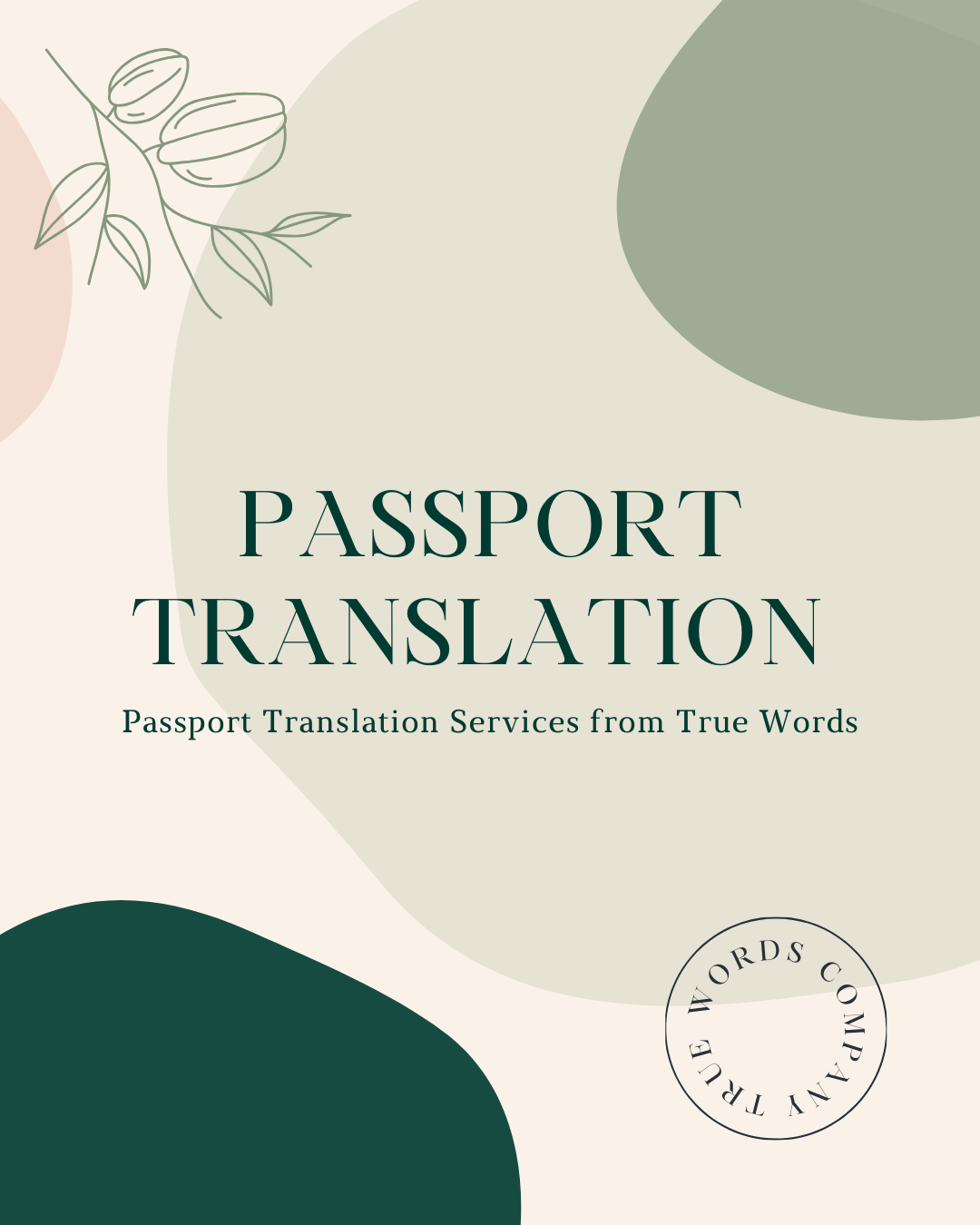 Read more about the article Passport Translation Services from True Words