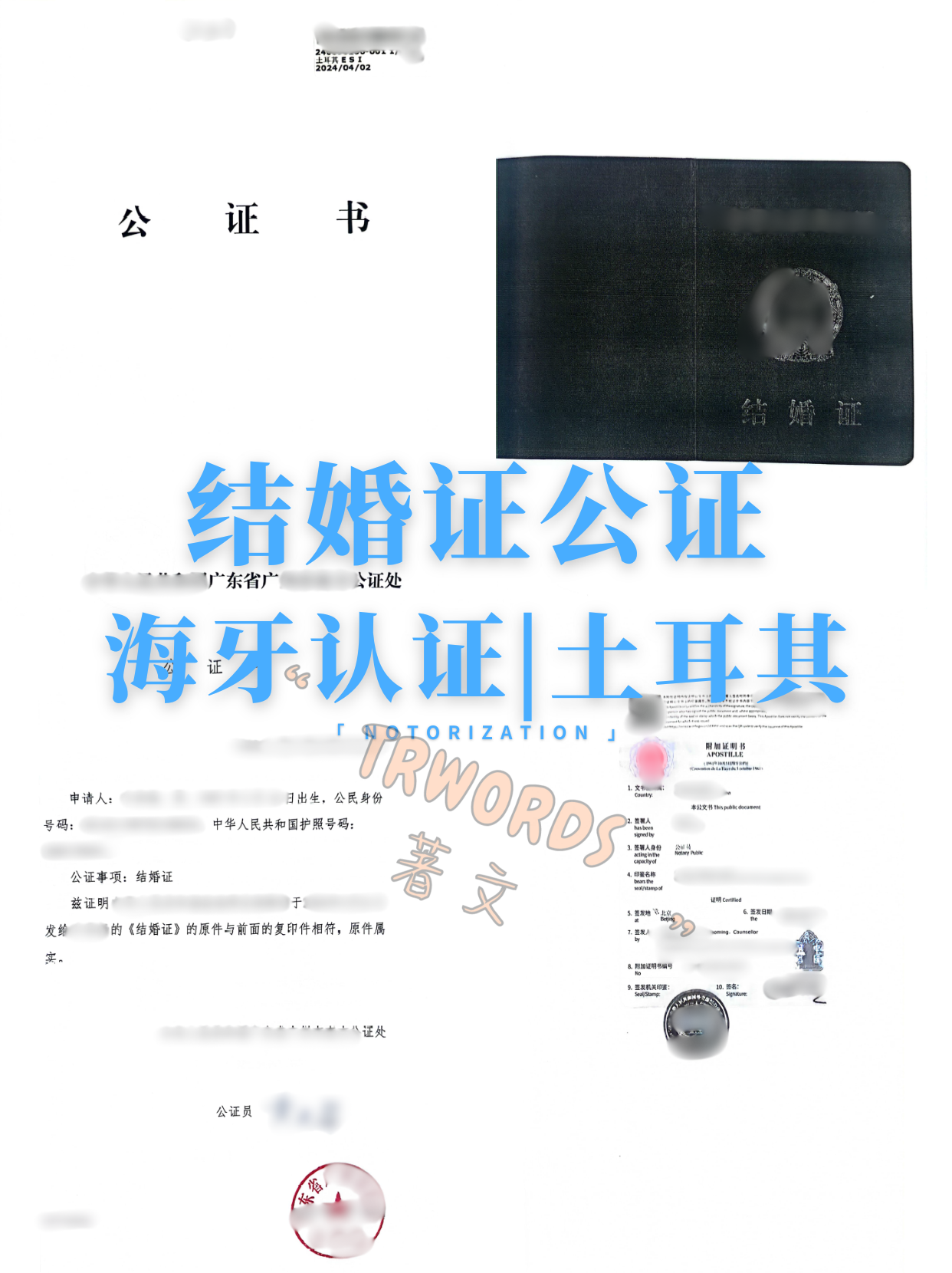 著文之声| 第29页共38页| True Words