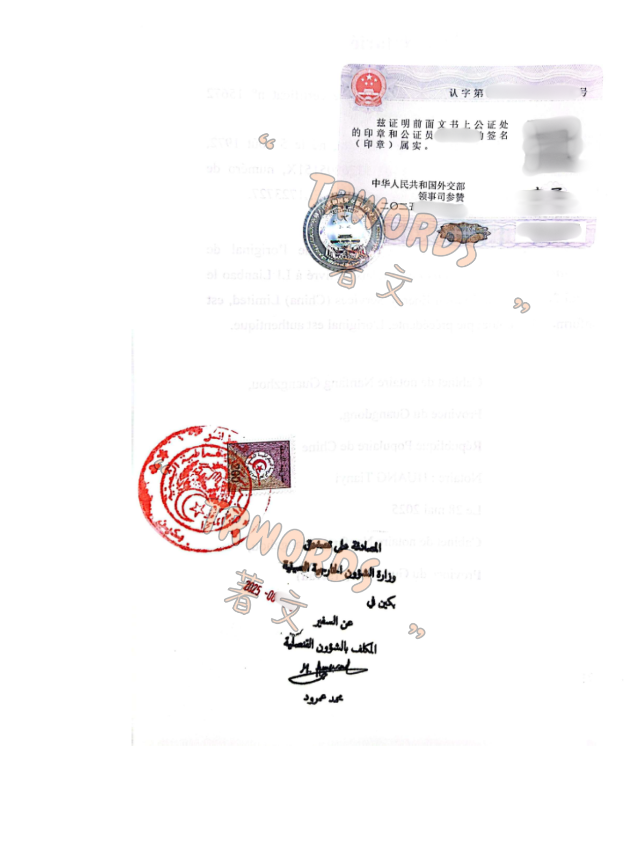 Read more about the article 阿尔及利亚双认证全攻略——如何办理？流程是什么？