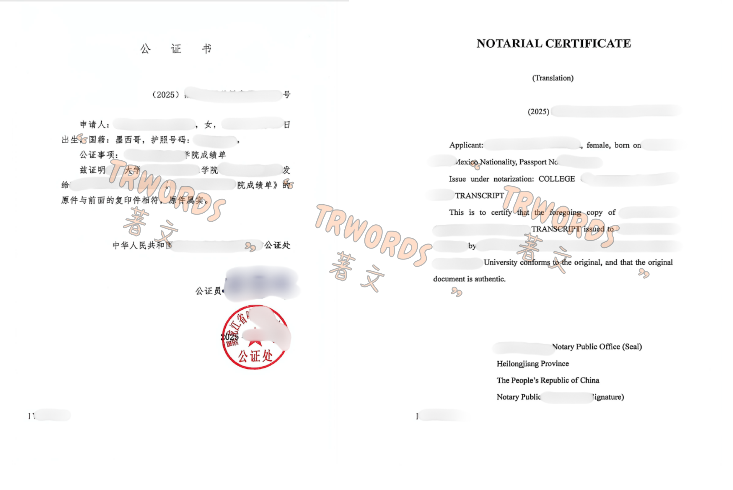 Read more about the article Notarize Your Chinese Diploma, Degree & Transcript – 100% Online for Foreign Students