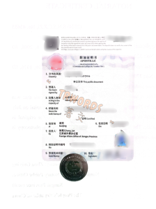 海牙认证
