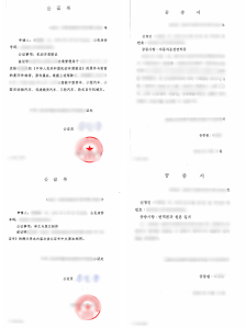 驾照公证 韩文双号