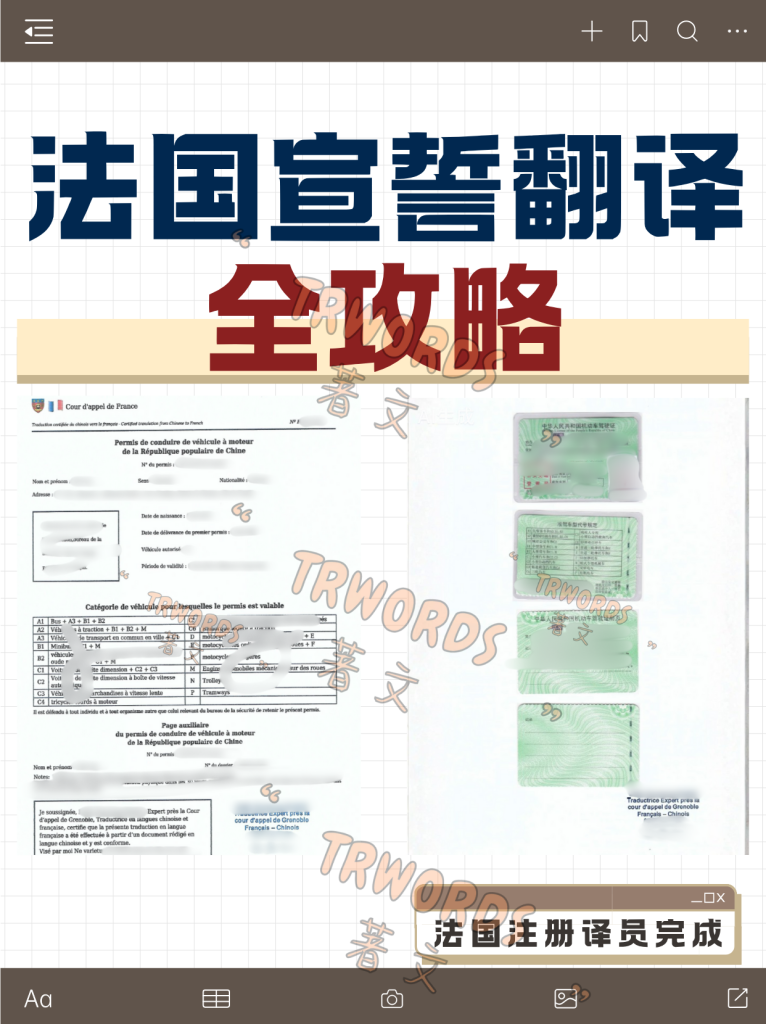 法国宣誓翻译