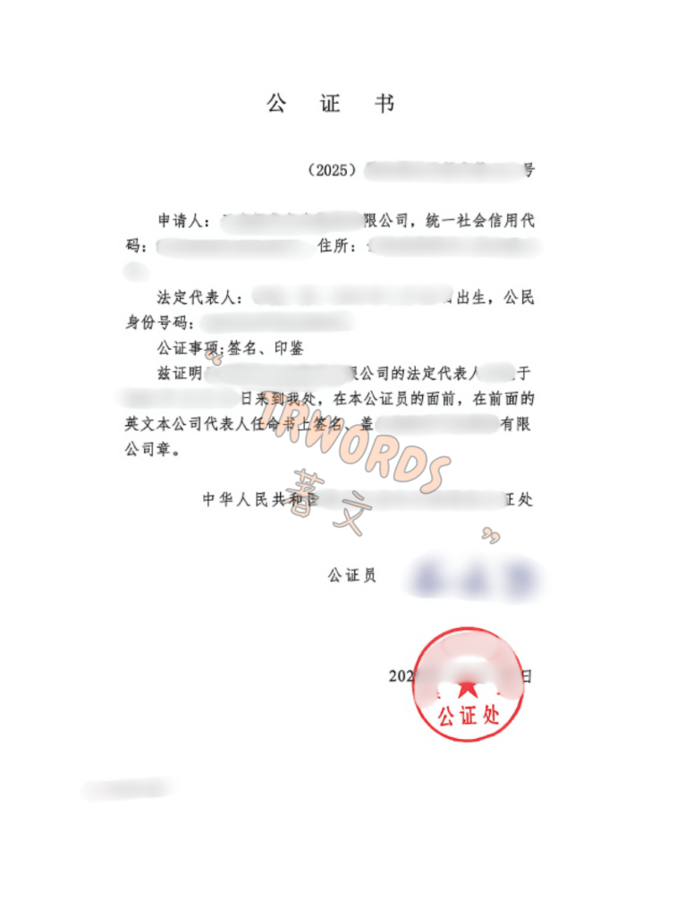 公司代表人任命书公证