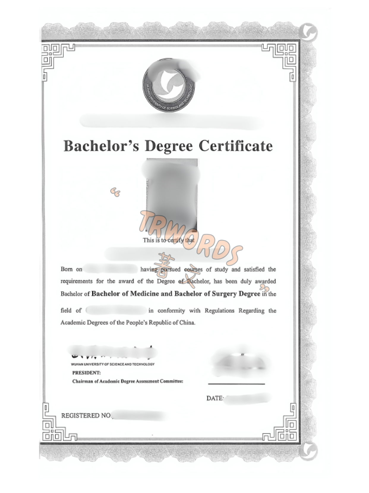 Degree Certificate-NOTARIAL CERTIFICATE+APOSTILLE