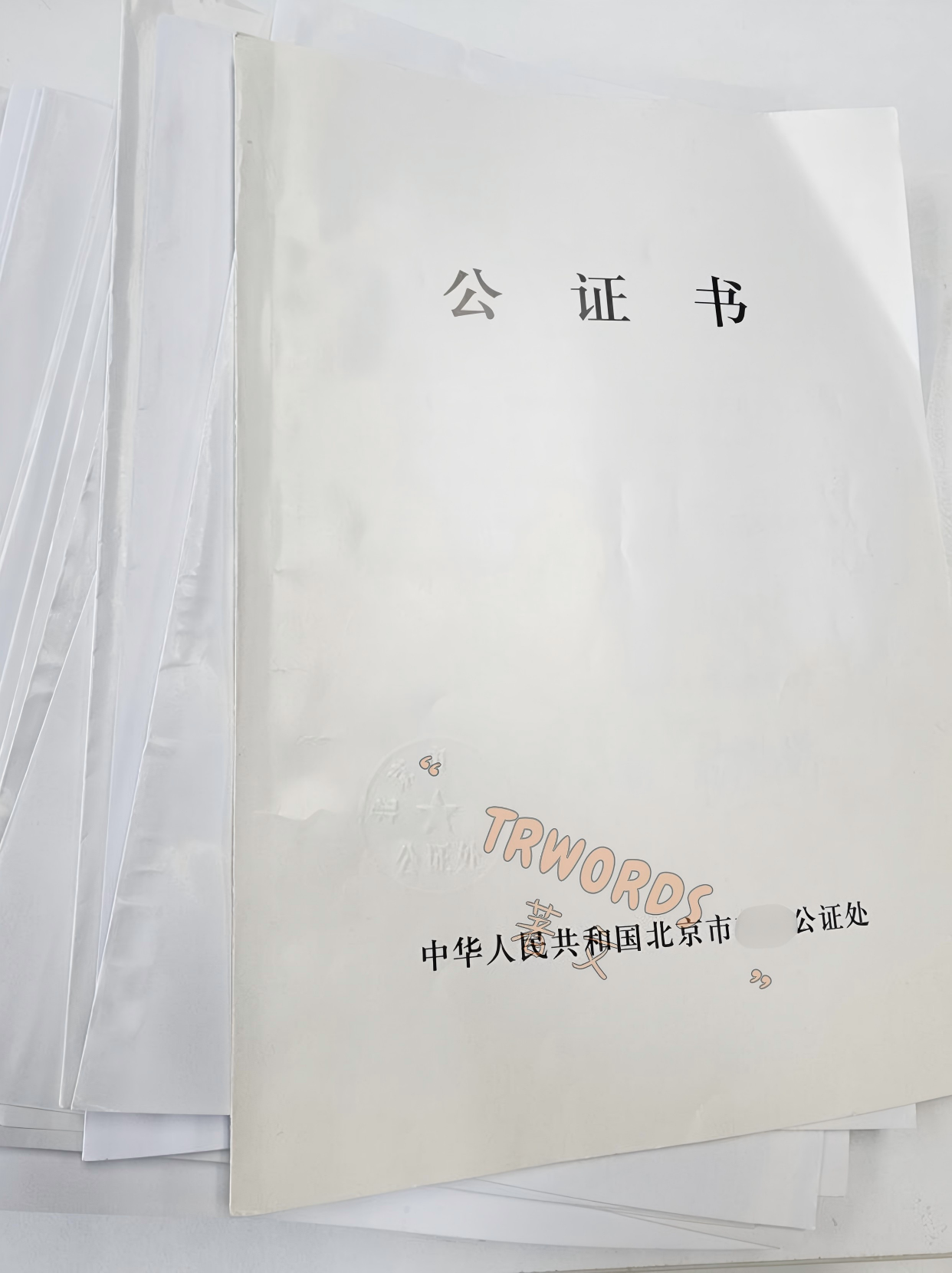 Read more about the article 定式公证书格式参考指南