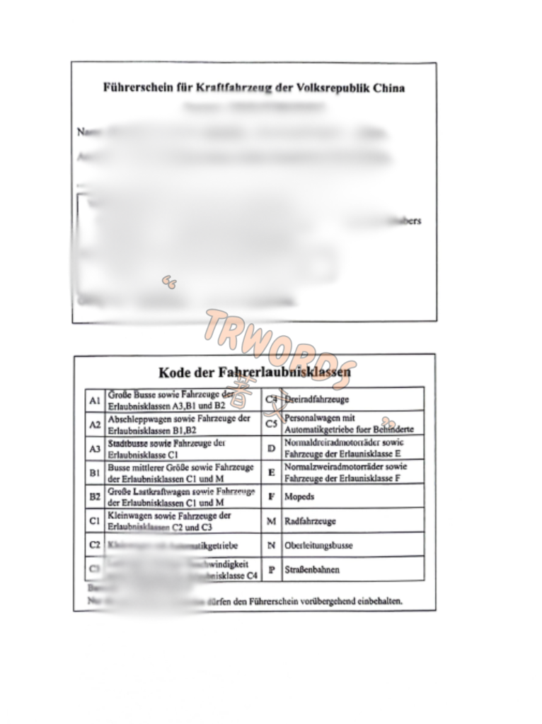 驾照德语翻译件