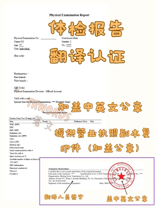 体检报告翻译认证