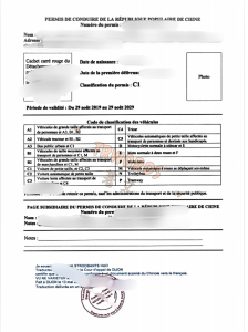 Chinese–French Sworn Translation in France