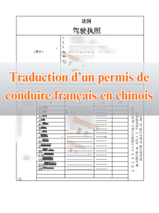 Exemple de traduction d'un permis de conduire français