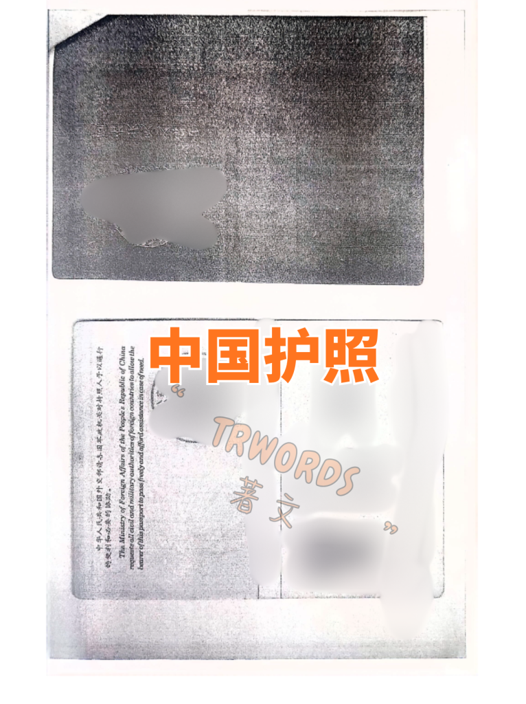 中国护照