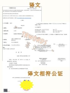 加拿大同一人声明翻译攻略
