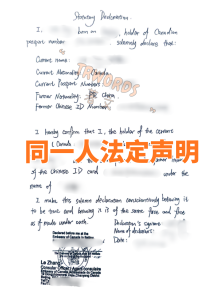加拿大同一人法定声明