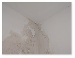 房屋漏水证据保全公证