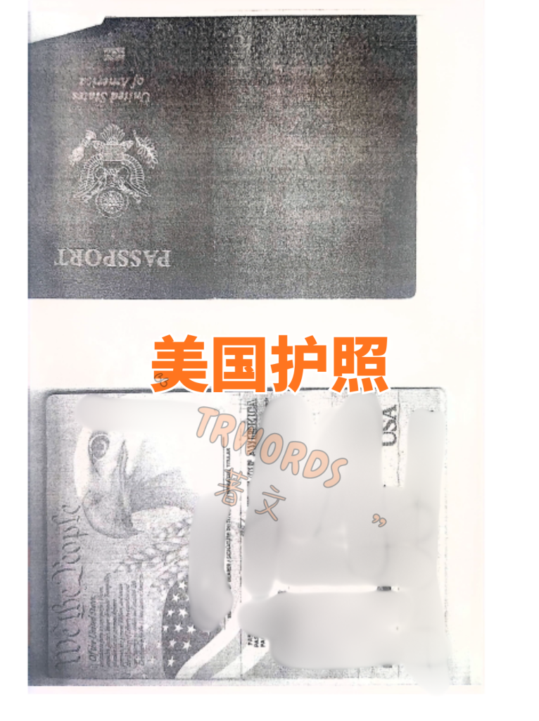 美国护照