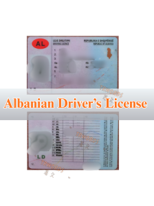 Albanian Driver’s License Translation into Chinese