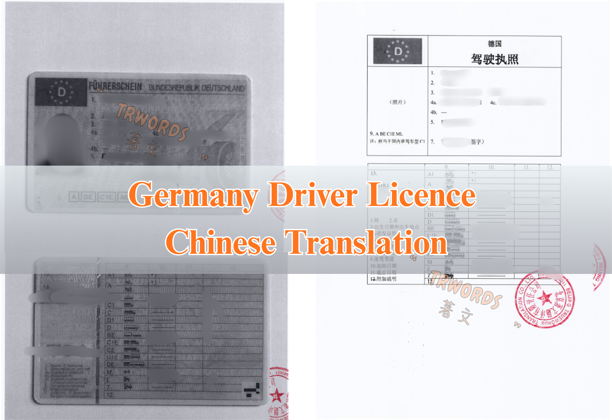Germany Driver Licence Chinese Translation Sample
