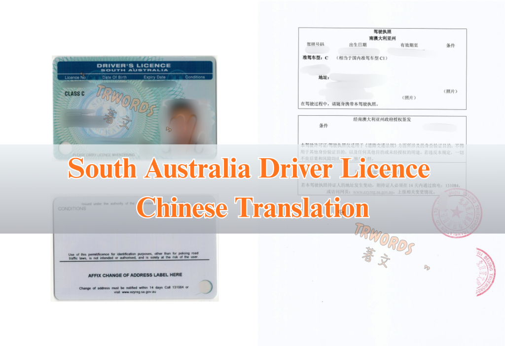 South Australia Driver Licence Chinese Translation Sample