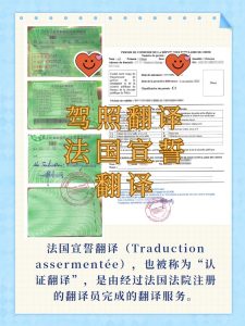 法国租车自驾，中国驾照法语宣誓翻译指南