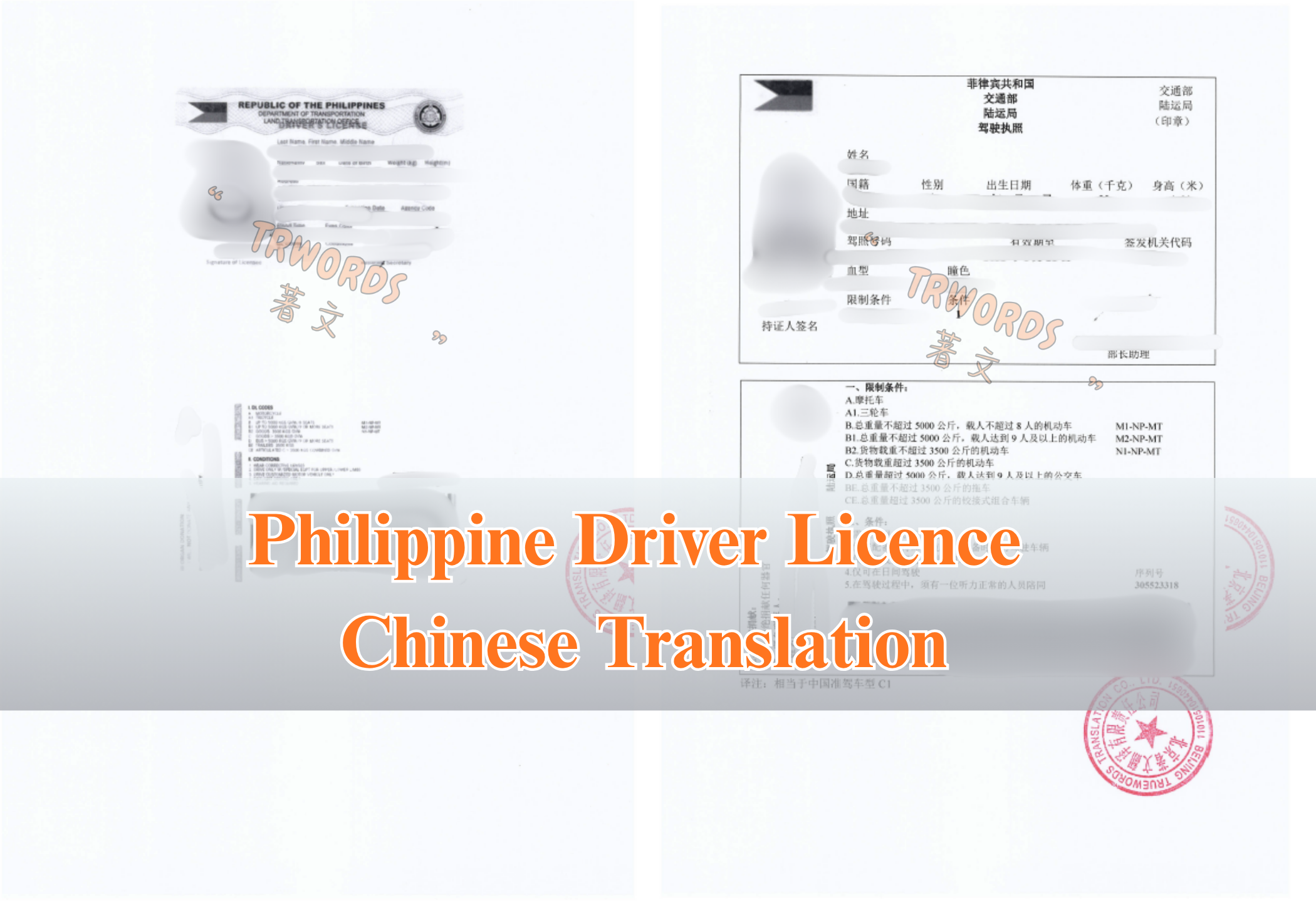 Read more about the article Philippine Driver’s Licence Translation in China: What to Provide and How the Service Works